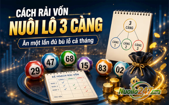 Cách rải vốn nuôi lô 3 càng: Ăn một lần đủ bù lỗ cả tháng