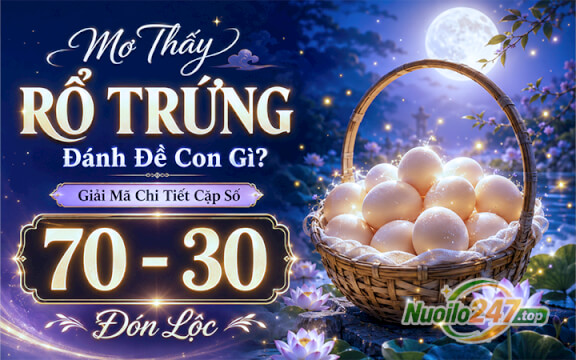 Mơ Thấy Rổ Trứng Đánh Đề Con Gì? Giải Mã Chi Tiết Cặp Số 70 - 30 Đón Lộc